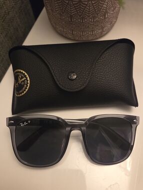 Ray-Ban Sunglasses in Smoke with Dark Lenses